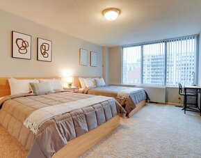 Bright Comfort in DC Apts