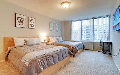 Bright Comfort in DC Apts