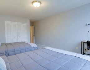 Bright Comfort in DC Apts