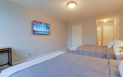 Bright Comfort in DC Apts