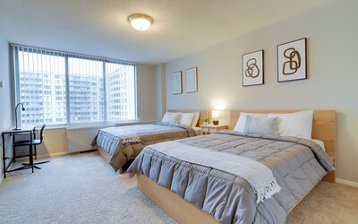 Bright Comfort in DC Apts