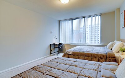 Bright Comfort in DC Apts