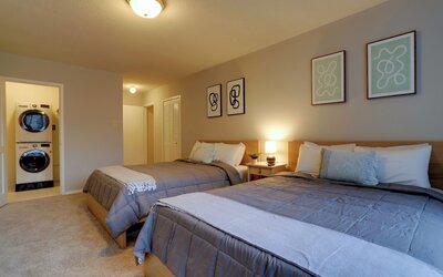 Bright Comfort in DC Apts