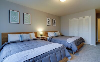 Bright Comfort in DC Apts