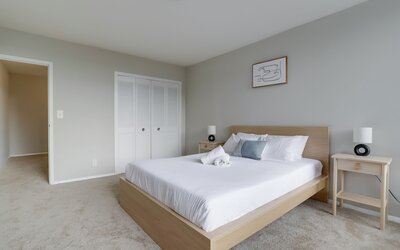 Bright Comfort in DC Apts