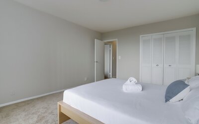 Bright Comfort in DC Apts