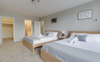 Bright Comfort in DC Apts
