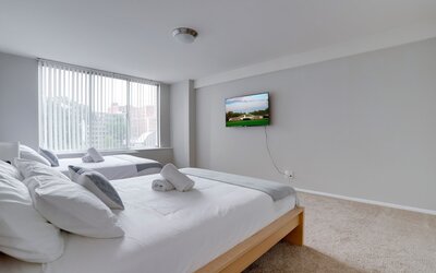 Bright Comfort in DC Apts