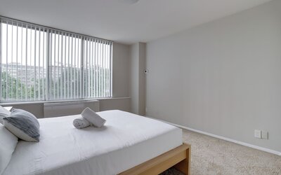 Bright Comfort in DC Apts