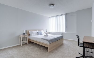 Bright Comfort in DC Apts