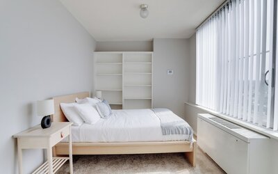 Bright Comfort in DC Apts