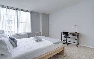 Bright Comfort in DC Apts
