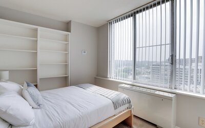 Bright Comfort in DC Apts
