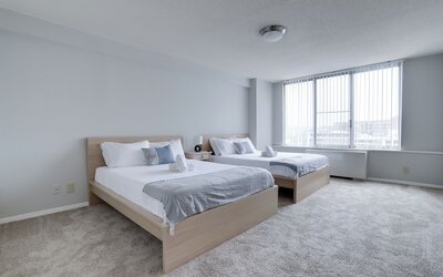 Bright Comfort in DC Apts