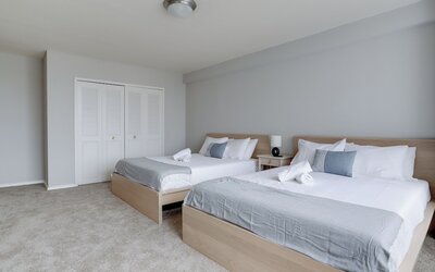 Bright Comfort in DC Apts