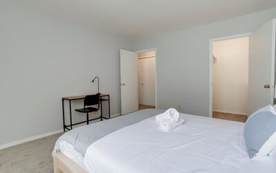 Bright Comfort in DC Apts