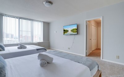 Bright Comfort in DC Apts