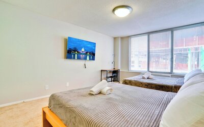 Bright Comfort in DC Apts