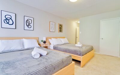 Bright Comfort in DC Apts