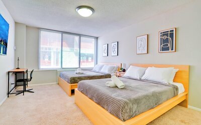 Bright Comfort in DC Apts