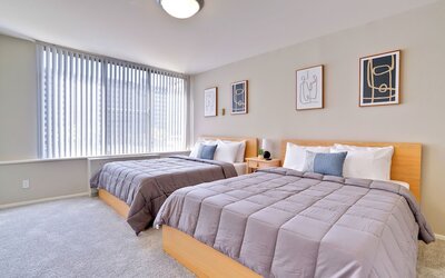 Bright Comfort in DC Apts