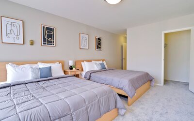 Bright Comfort in DC Apts