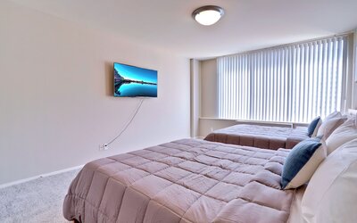 Bright Comfort in DC Apts
