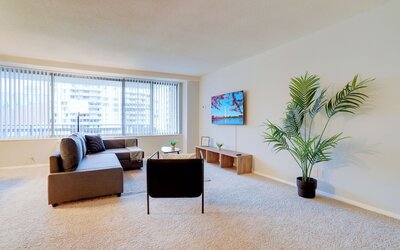 Bright Comfort in DC Apts