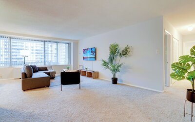 Bright Comfort in DC Apts