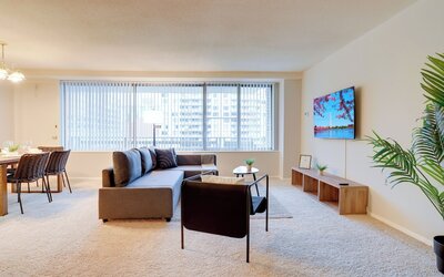 Bright Comfort in DC Apts