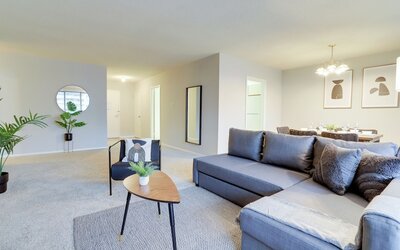 Bright Comfort in DC Apts