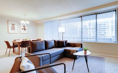 Bright Comfort in DC Apts