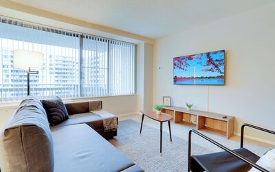 Bright Comfort in DC Apts