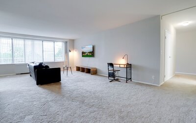 Bright Comfort in DC Apts