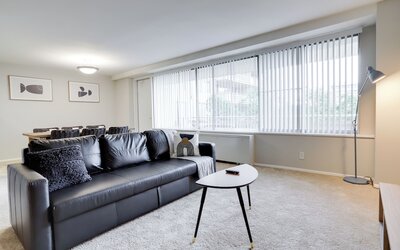 Bright Comfort in DC Apts