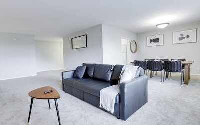 Bright Comfort in DC Apts