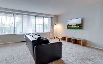 Bright Comfort in DC Apts
