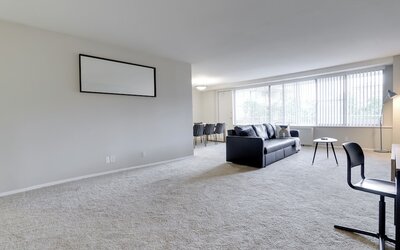 Bright Comfort in DC Apts