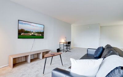 Bright Comfort in DC Apts