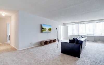 Bright Comfort in DC Apts