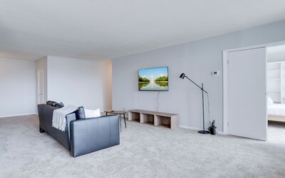 Bright Comfort in DC Apts