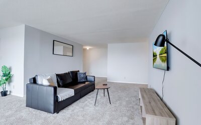 Bright Comfort in DC Apts