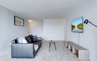 Bright Comfort in DC Apts