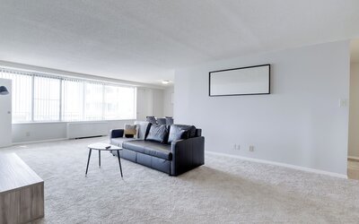 Bright Comfort in DC Apts
