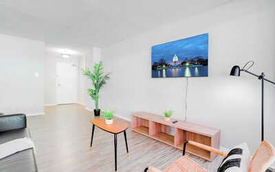 Bright Comfort in DC Apts