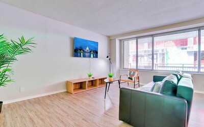 Bright Comfort in DC Apts