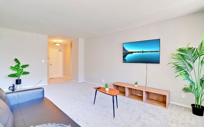 Bright Comfort in DC Apts