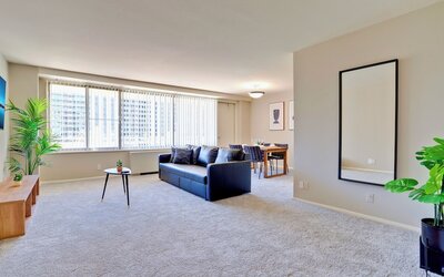 Bright Comfort in DC Apts