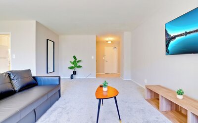 Bright Comfort in DC Apts