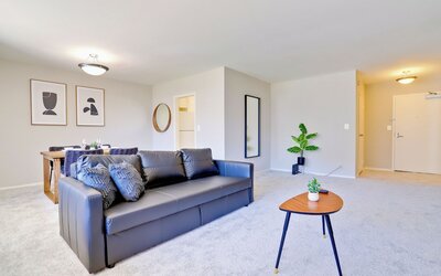 Bright Comfort in DC Apts